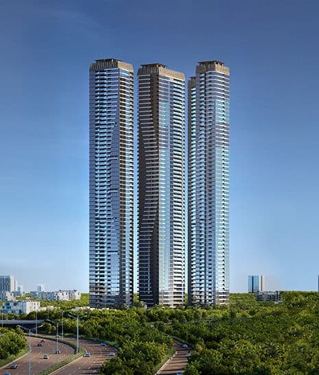 Developer render