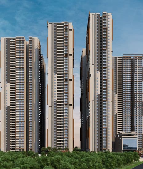 Developer render