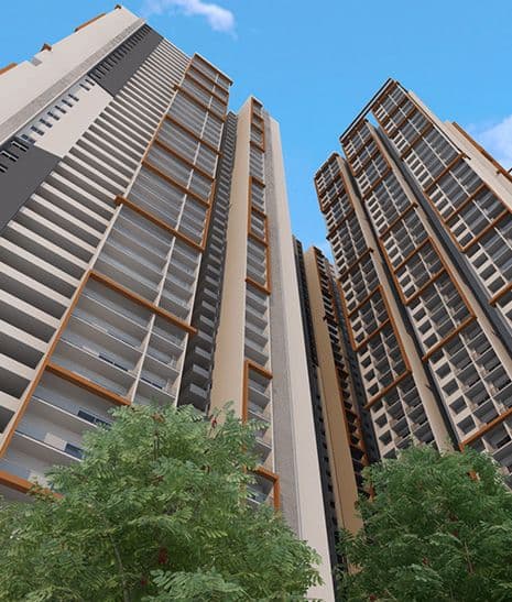Developer render