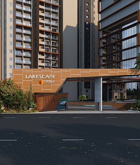 Developer render